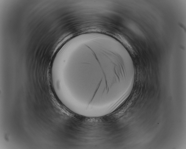 X0000097660806200803280950