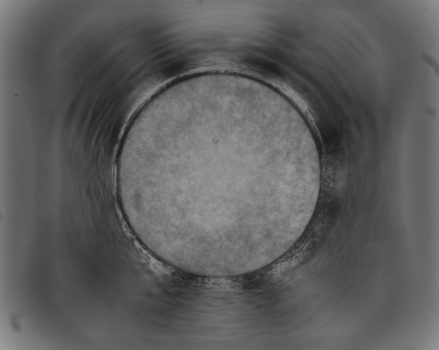 X0000097660807200803280950