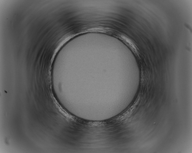 X0000097660808200803280950