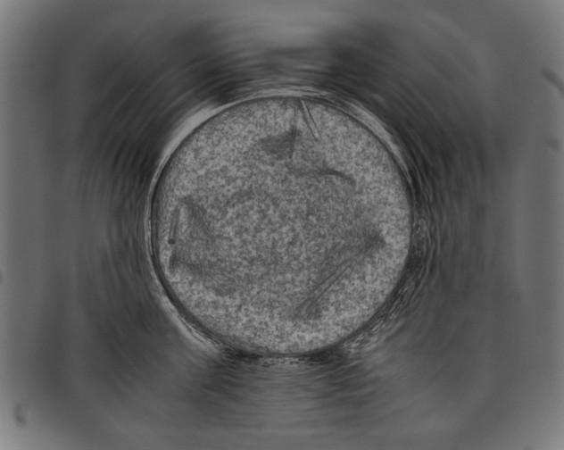 X0000097660811200803280950