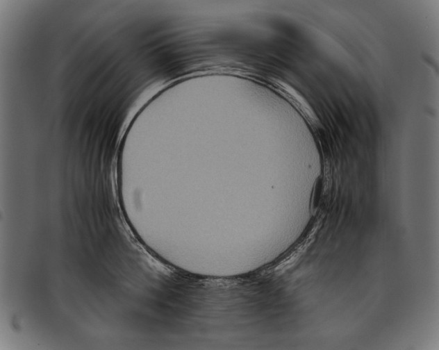X0000097660812200803280950