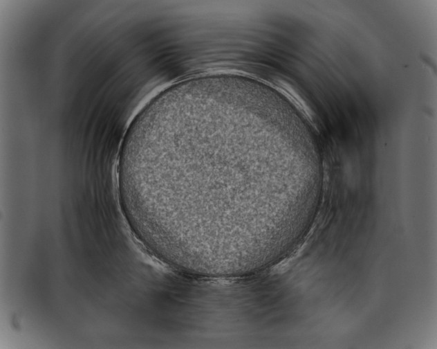 X0000097660814200803280949