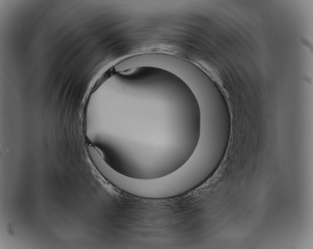 X0000097660816200803280949
