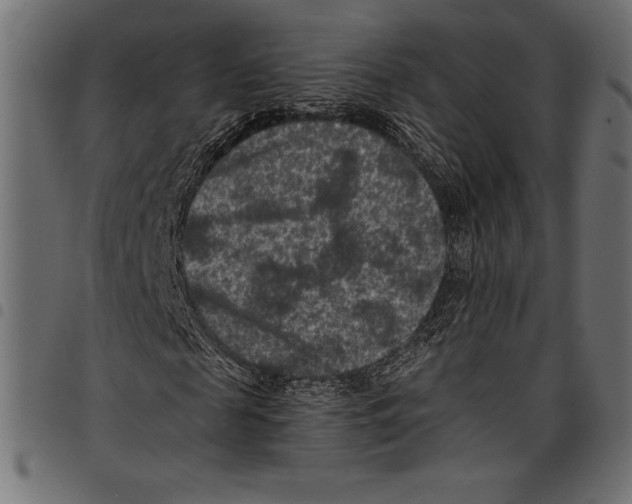 X0000097660817200803280949