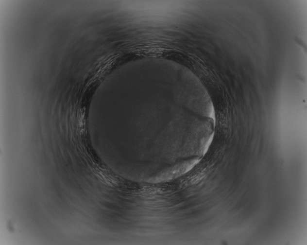 X0000097660818200803280949