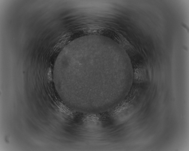 X0000097660820200803280949
