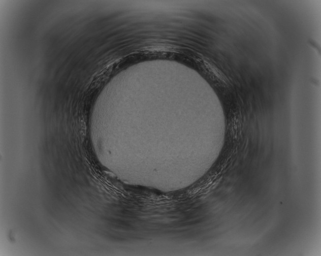 X0000097660821200803280949