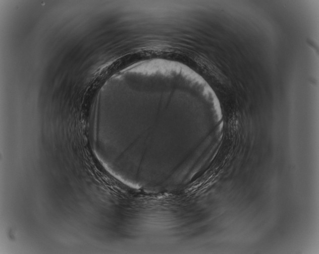 X0000097660822200803280949