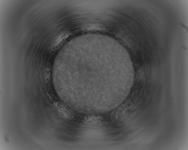 X0000097660824200803280949