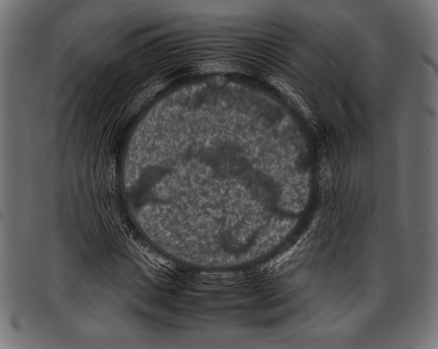 X0000097660825200803280949