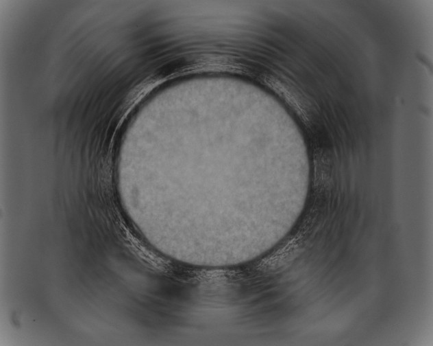 X0000097660828200803280949
