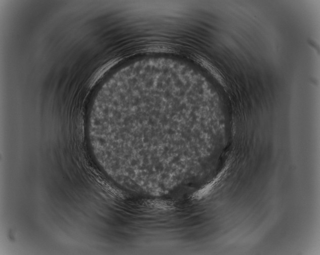 X0000097660829200803280949