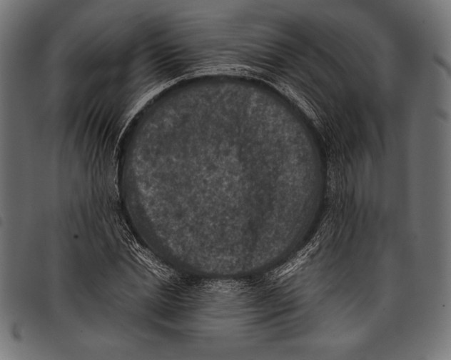 X0000097660830200803280949