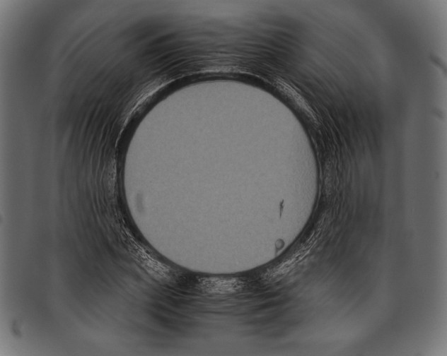 X0000097660831200803280949