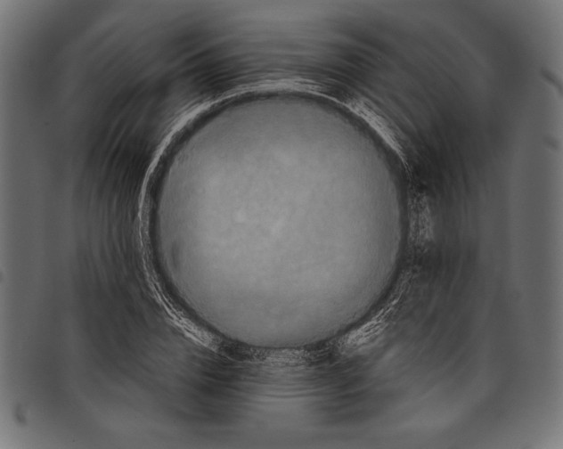 X0000097660832200803280949