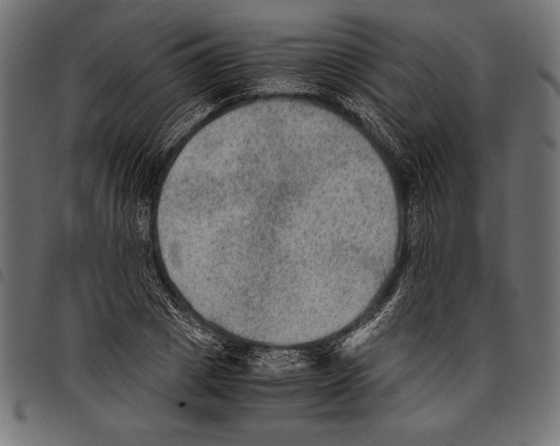 X0000097660833200803280949