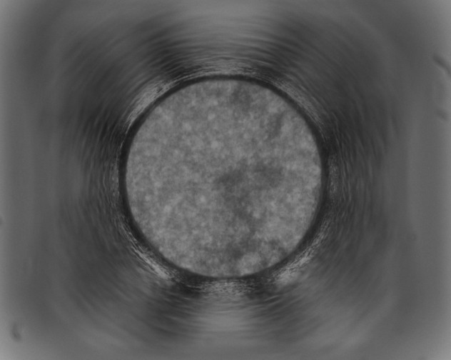 X0000097660834200803280949