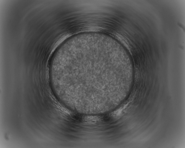X0000097660835200803280949