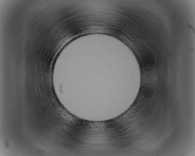 X0000097660836200803280949