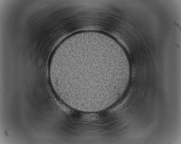 X0000097660837200803280949