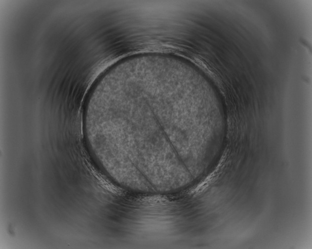 X0000097660838200803280949