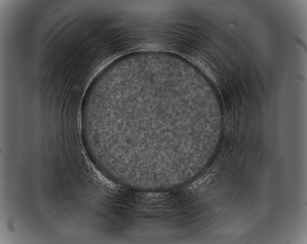 X0000097660839200803280949