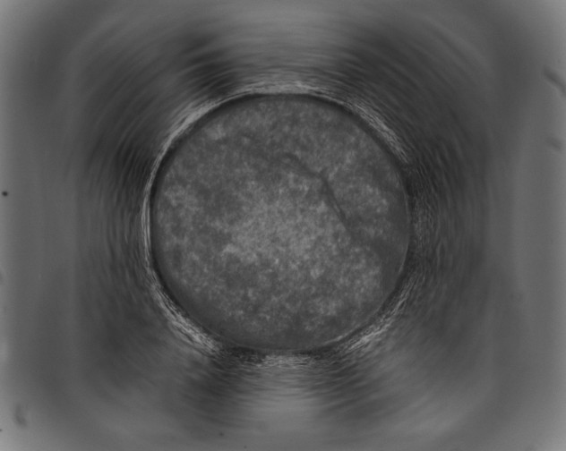 X0000097660840200803280949