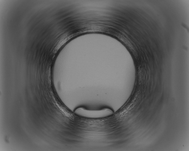 X0000097660842200803280949