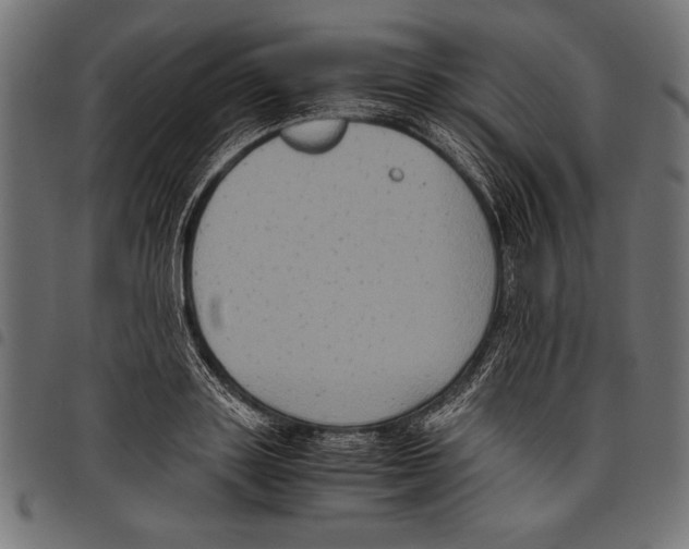 X0000097660843200803280949