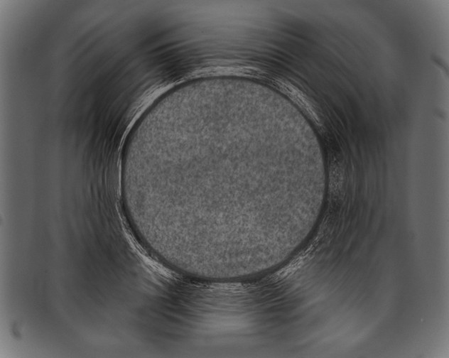 X0000097660844200803280949