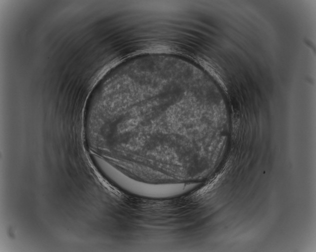 X0000097660845200803280949