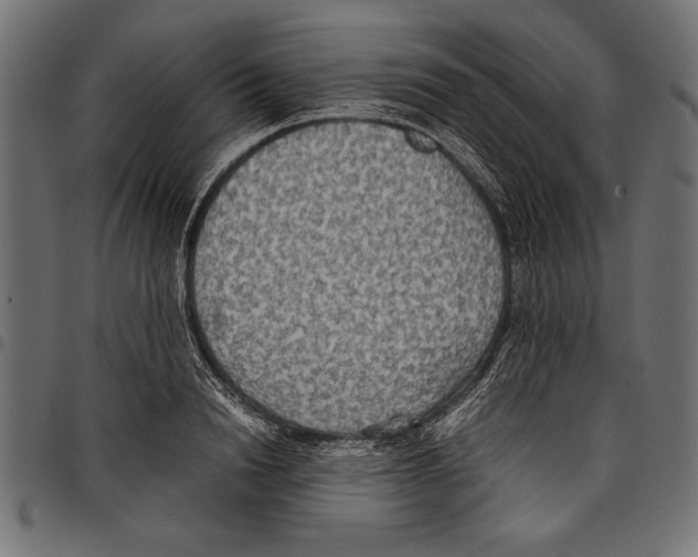 X0000097660846200803280949