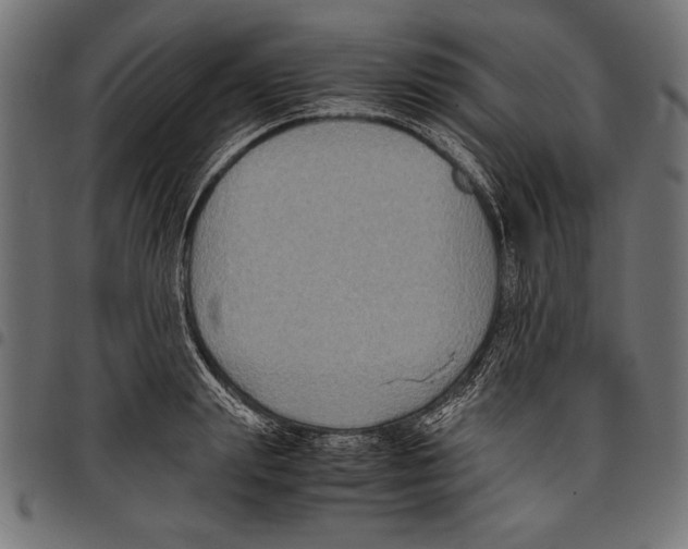 X0000097660847200803280949