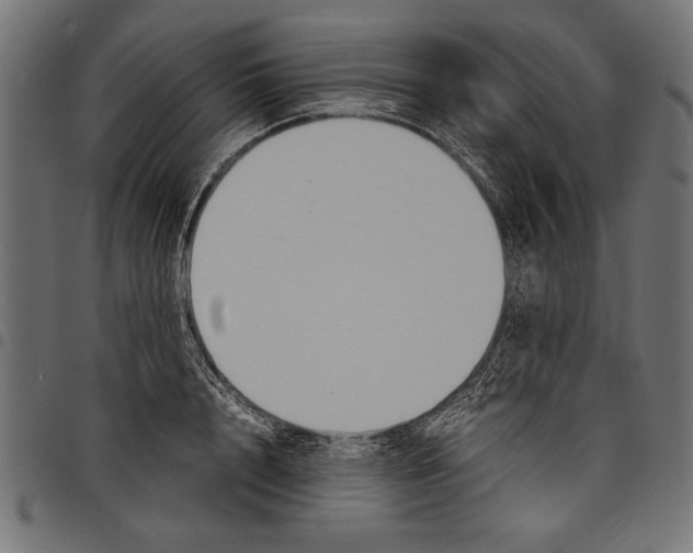 X0000097660848200803280949
