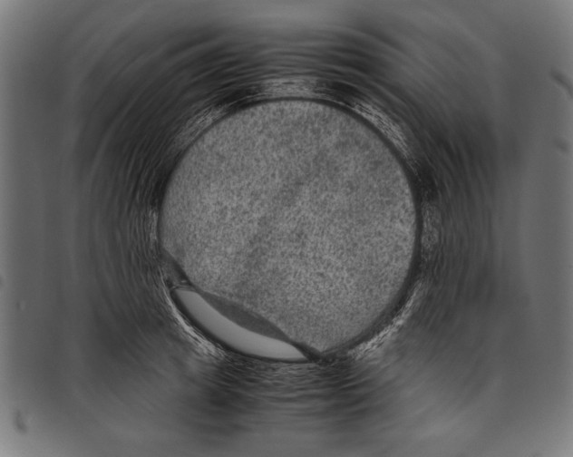 X0000097660849200803280949