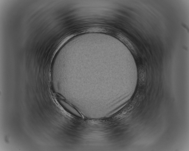 X0000097660852200803280949
