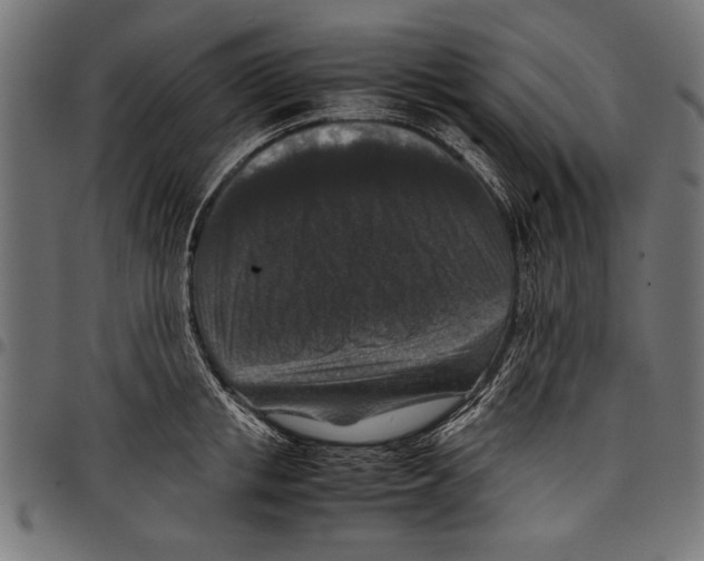 X0000097660853200803280949