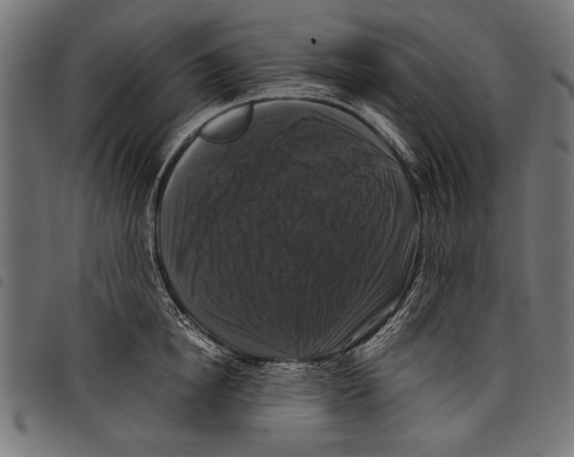 X0000097660854200803280949