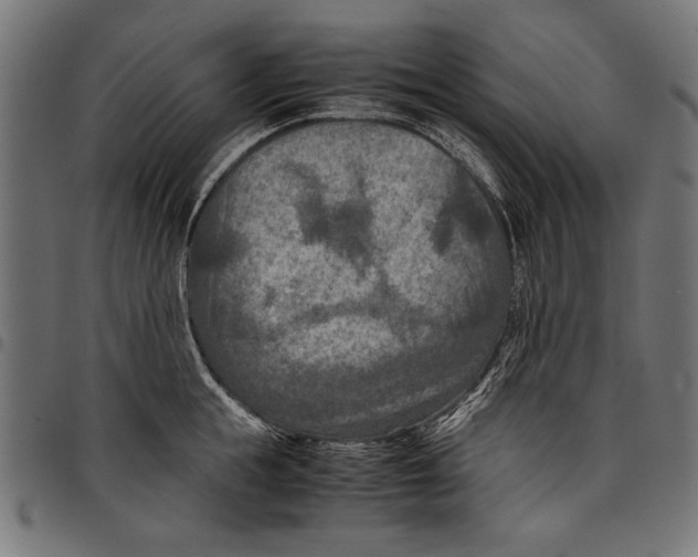 X0000097660855200803280949