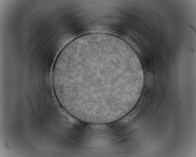 X0000097660856200803280949