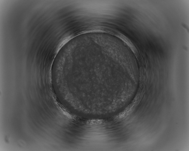 X0000097660858200803280949