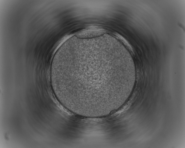 X0000097660860200803280949