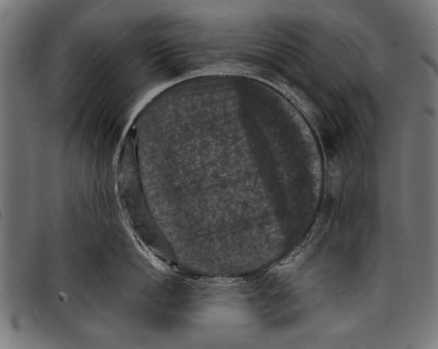 X0000097660862200803280949