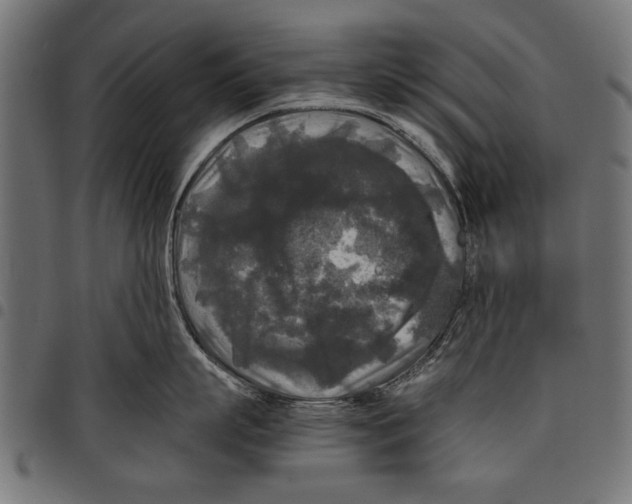 X0000097660863200803280949
