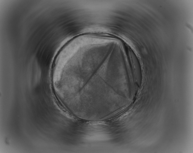 X0000097660864200803280949