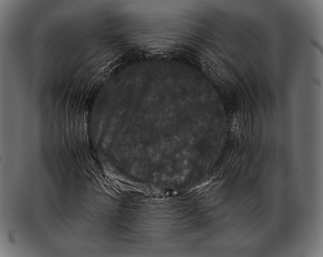 X0000097660868200803280949