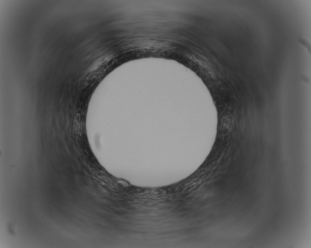 X0000097660869200803280949