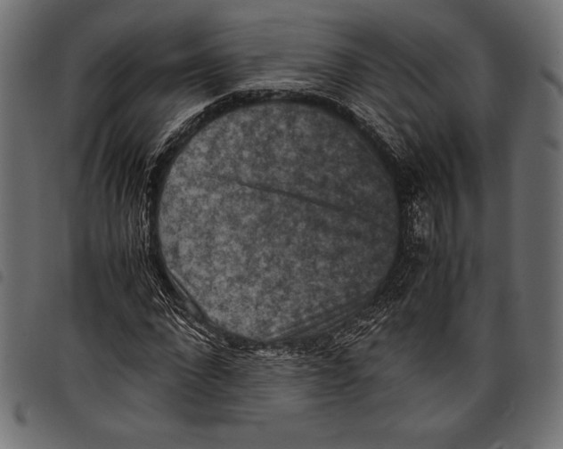 X0000097660872200803280949