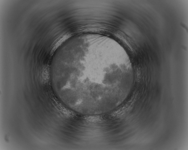 X0000097660874200803280948