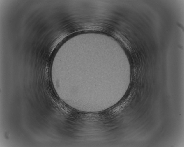 X0000097660875200803280948